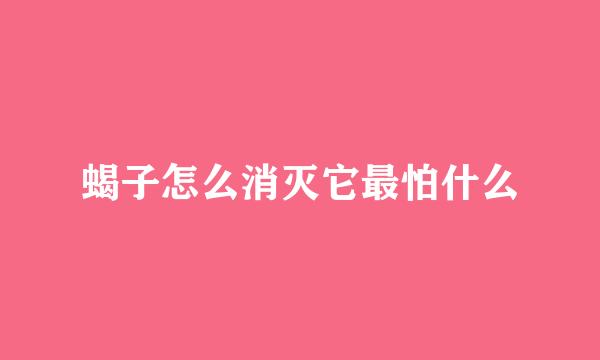 蝎子怎么消灭它最怕什么