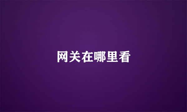 网关在哪里看