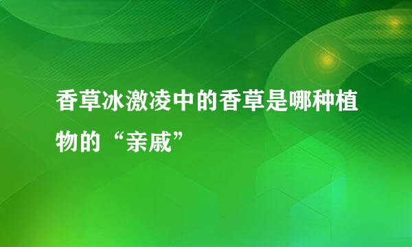 香草冰激凌中的香草是哪种植物的“亲戚”
