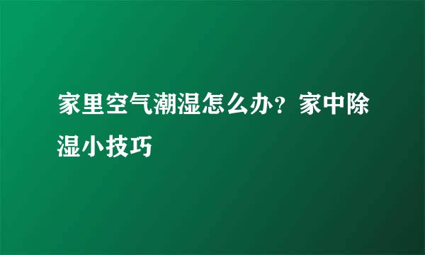 家里空气潮湿怎么办？家中除湿小技巧