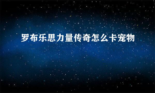 罗布乐思力量传奇怎么卡宠物
