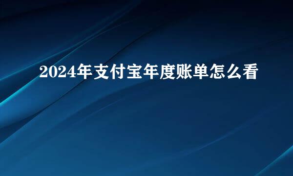 2024年支付宝年度账单怎么看
