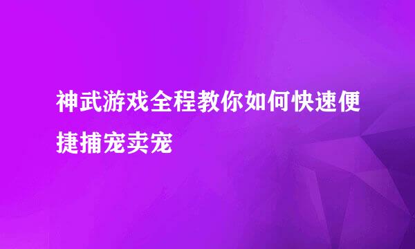 神武游戏全程教你如何快速便捷捕宠卖宠
