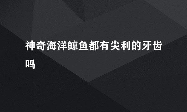 神奇海洋鲸鱼都有尖利的牙齿吗