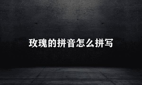 玫瑰的拼音怎么拼写