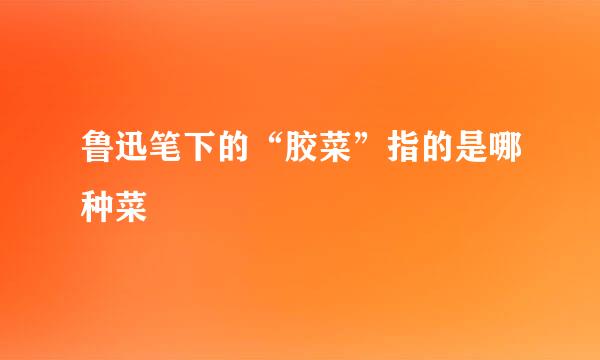 鲁迅笔下的“胶菜”指的是哪种菜