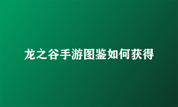 龙之谷手游图鉴如何获得
