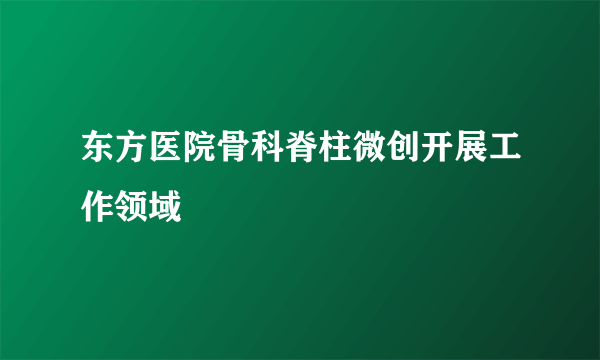 东方医院骨科脊柱微创开展工作领域