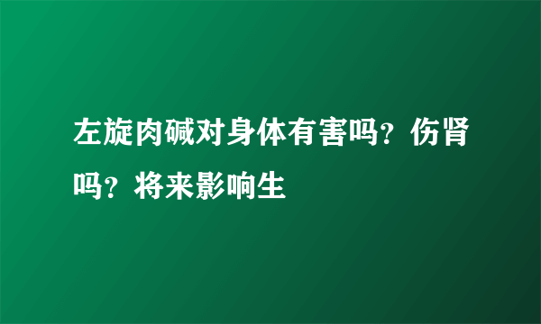 左旋肉碱对身体有害吗？伤肾吗？将来影响生