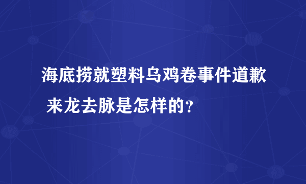 海底捞就塑料乌鸡卷事件道歉 来龙去脉是怎样的？