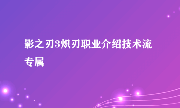 影之刃3炽刃职业介绍技术流专属