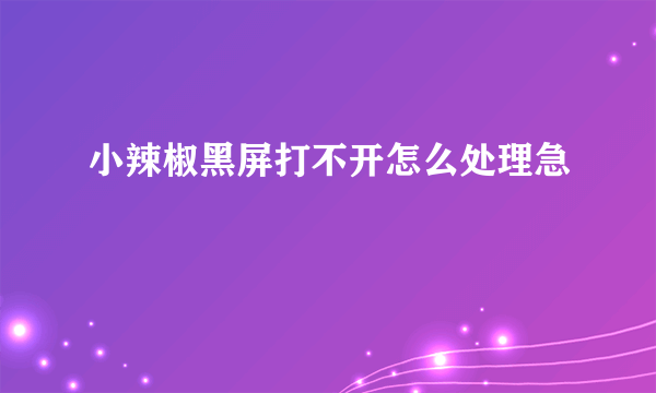 小辣椒黑屏打不开怎么处理急