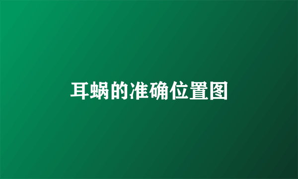耳蜗的准确位置图