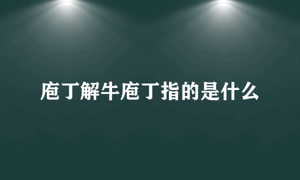 庖丁解牛庖丁指的是什么