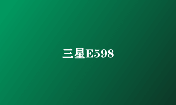 三星E598