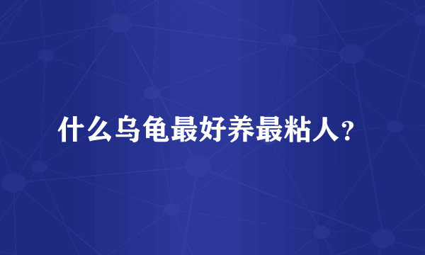 什么乌龟最好养最粘人？