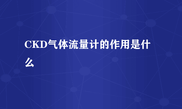 CKD气体流量计的作用是什么