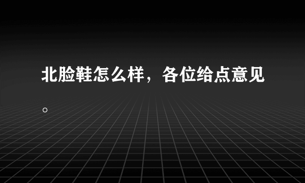 北脸鞋怎么样，各位给点意见。