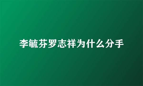 李毓芬罗志祥为什么分手