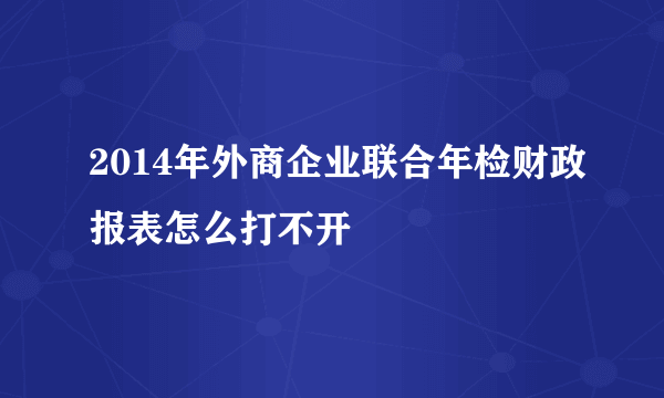 2014年外商企业联合年检财政报表怎么打不开
