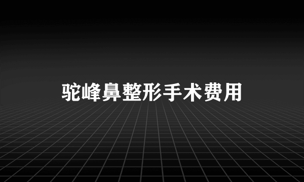 驼峰鼻整形手术费用