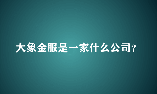 大象金服是一家什么公司？