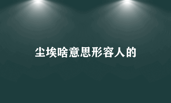 尘埃啥意思形容人的