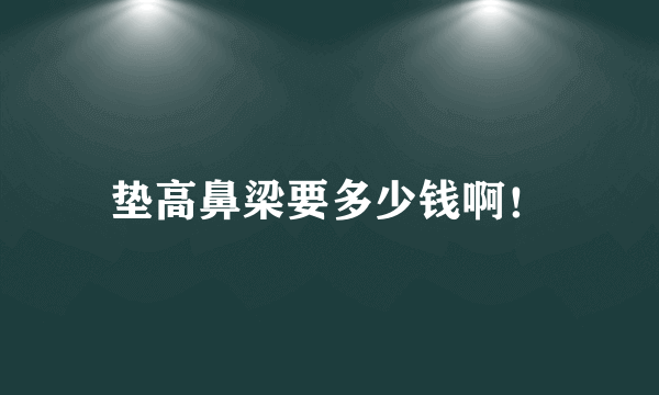 垫高鼻梁要多少钱啊！