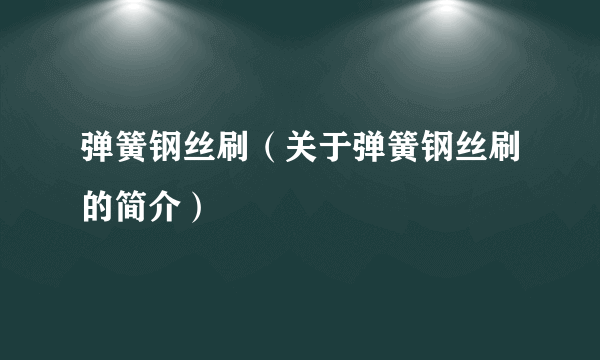 弹簧钢丝刷（关于弹簧钢丝刷的简介）