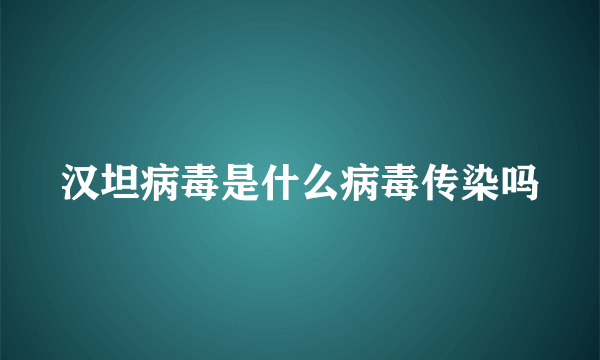 汉坦病毒是什么病毒传染吗