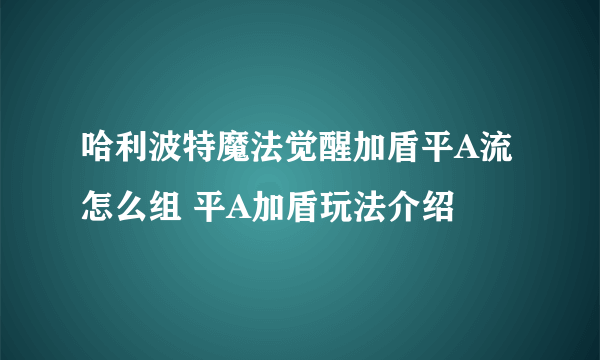 哈利波特魔法觉醒加盾平A流怎么组 平A加盾玩法介绍