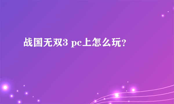 战国无双3 pc上怎么玩？