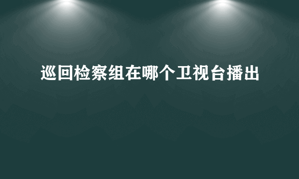 巡回检察组在哪个卫视台播出