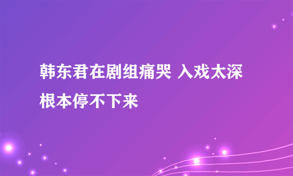 韩东君在剧组痛哭 入戏太深根本停不下来