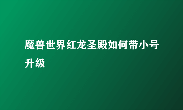 魔兽世界红龙圣殿如何带小号升级
