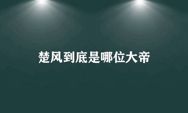 楚风到底是哪位大帝