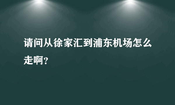 请问从徐家汇到浦东机场怎么走啊？