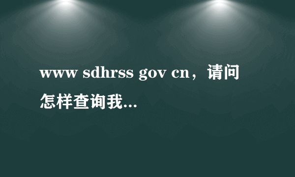 www sdhrss gov cn，请问怎样查询我在成都的社保信息