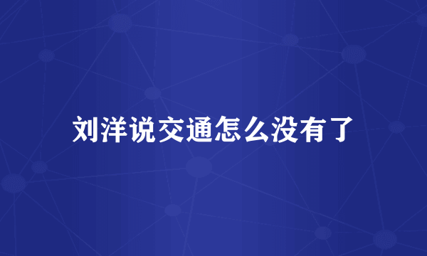 刘洋说交通怎么没有了
