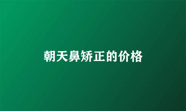 朝天鼻矫正的价格
