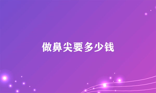 做鼻尖要多少钱