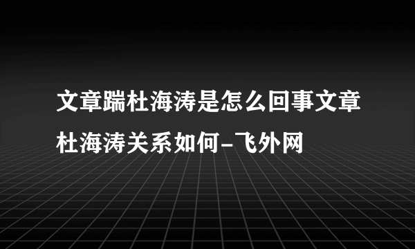 文章踹杜海涛是怎么回事文章杜海涛关系如何-飞外网
