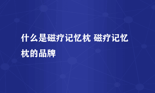 什么是磁疗记忆枕 磁疗记忆枕的品牌