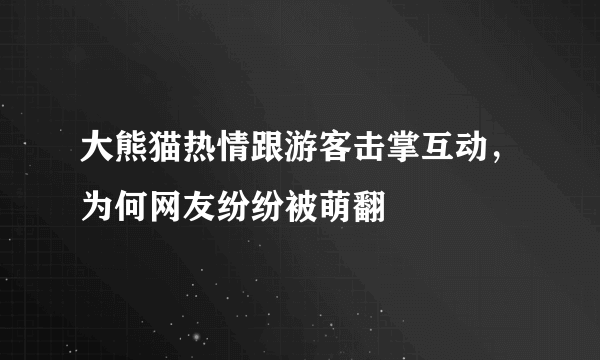 大熊猫热情跟游客击掌互动，为何网友纷纷被萌翻