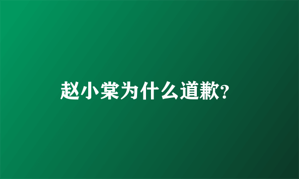 赵小棠为什么道歉？