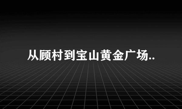 从顾村到宝山黄金广场..