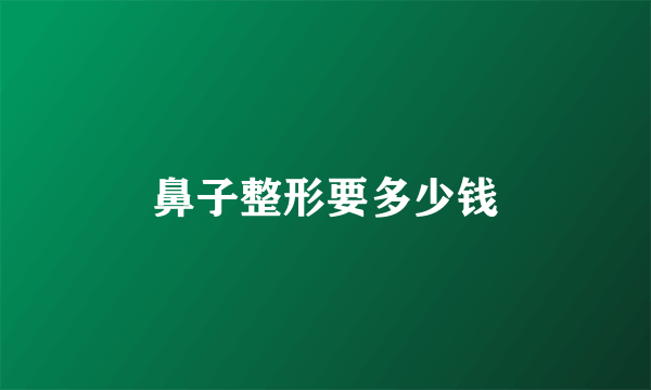 鼻子整形要多少钱
