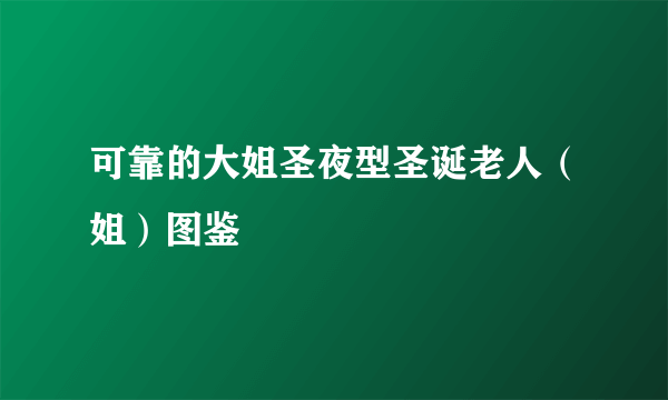 可靠的大姐圣夜型圣诞老人（姐）图鉴