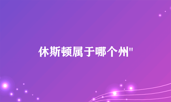 休斯顿属于哪个州
