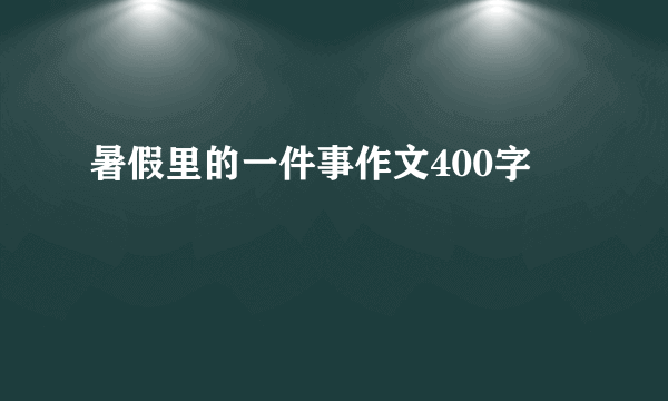 暑假里的一件事作文400字